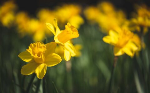 Newsletter - 31 March 2023