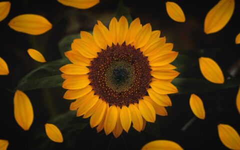 Mental Health Awareness Week 2021