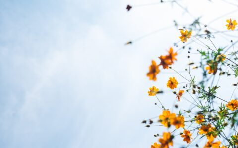 Newsletter - 10 September 2021