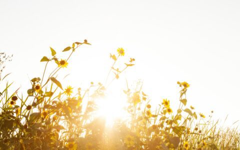 Newsletter - 20 May 2022