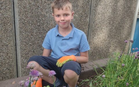 Redgate garden project: A blooming success!