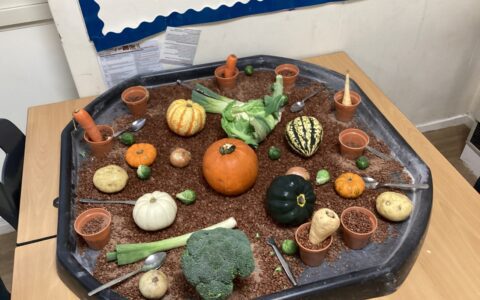 Harvest-time discovery